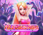 Wild Disco Night
